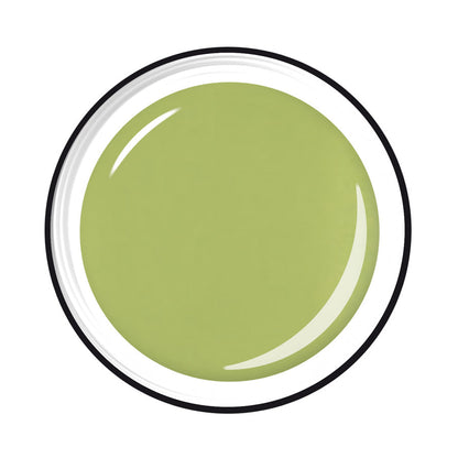 https://cdn.shopify.com/s/files/1/0023/6424/4037/files/1001-20605-329.jpg?v=1734473736