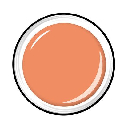 https://cdn.xorosoft.io/xo10333/Images/1001-20605-468_1.jpg