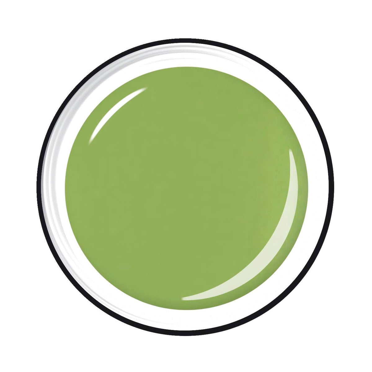 https://cdn.shopify.com/s/files/1/0023/6424/4037/files/1001-20605-499.jpg?v=1734474122